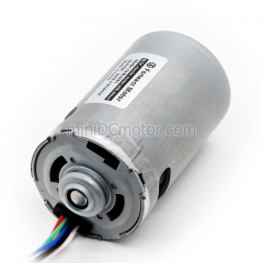 BL5285, B5285M, 52 mm small inner rotor brushless dc electric motor