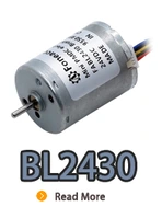 BL2430i, BL2430, B2430M, 24 mm small inner rotor brushless dc electric motor.webp